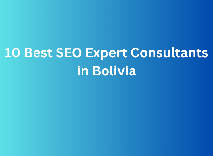 10 Best SEO Expert Consultants in Bolivia
