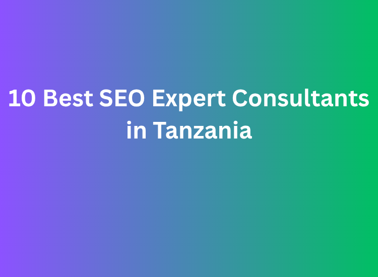 10 Best SEO Expert Consultants in Tanzania
