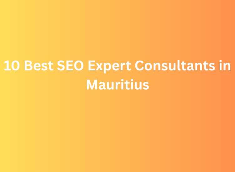 10 Best SEO Expert Consultants in Mauritius